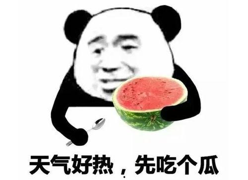 吃瓜的表情如何回复