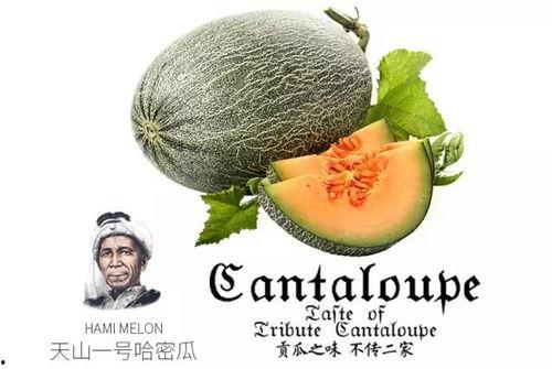 娱乐吃瓜群众1号
